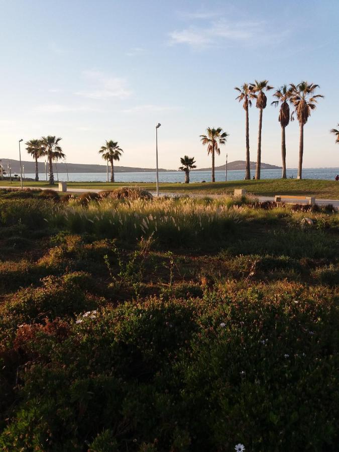 Apartment Nador Rif エクステリア 写真